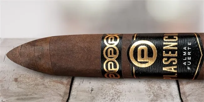 plasencia alma fuerte レビュー8