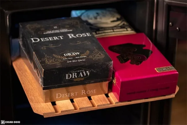 newair 250カウント 電子シガーヒュミドール