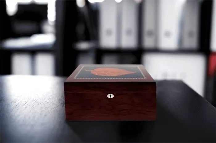 2024 Deauville Tobacco Leaf Humidor レビュー-6