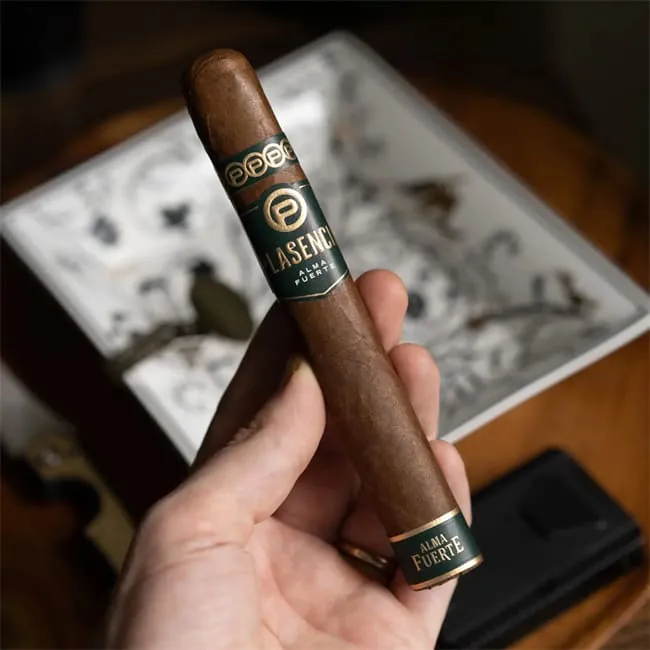 plasencia alma fuerte レビュー6