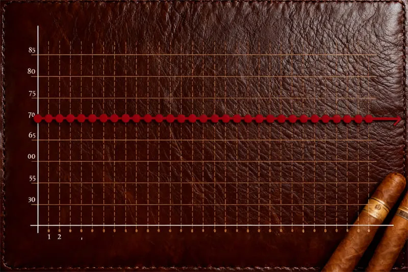 Redford Lite温度テスト