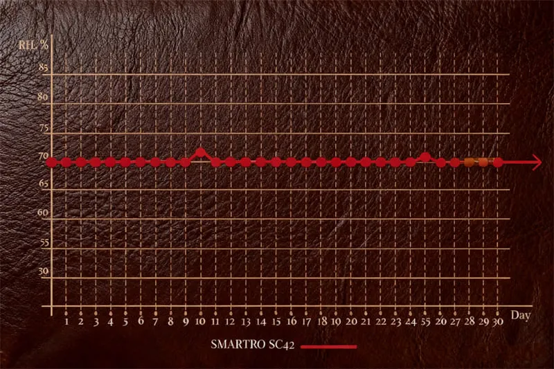 NewAir CC-300H ヒュミドール レビュー