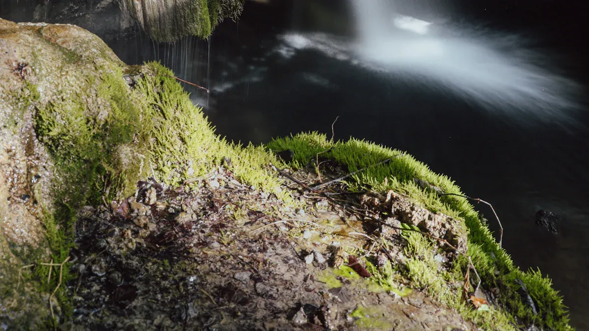 洞窟内の自然光源