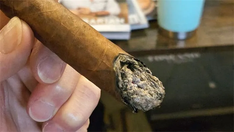 シガーのカヌーイング2