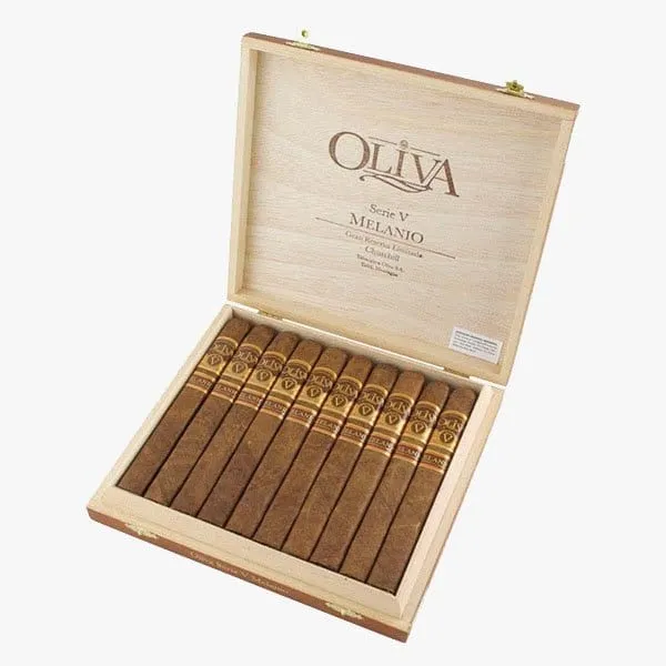 2024 Oliva Serie V Melanio Churchill レビュー-9