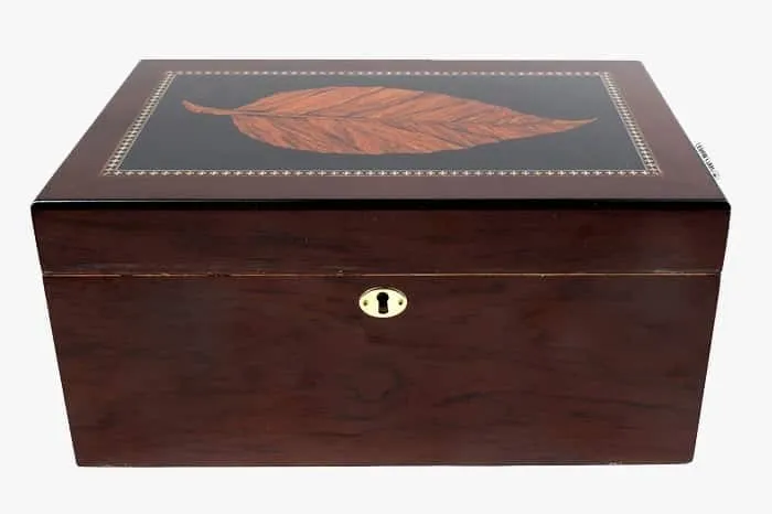 2024 Deauville Tobacco Leaf Humidor レビュー-1