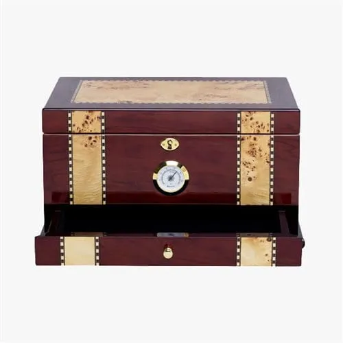 最新 Quality Importers Solana ヒュミドール レビュー 2024-9