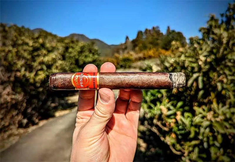 シガーのトンネリング4