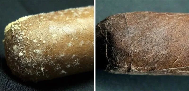 シガーのカビとプルームの違い