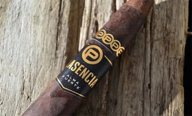 plasencia alma fuerte レビュー9