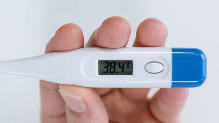 Veridian温度計：初心者向け使い方