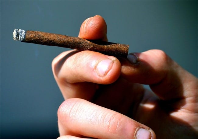 シガリロの吸い方（新ガイド）