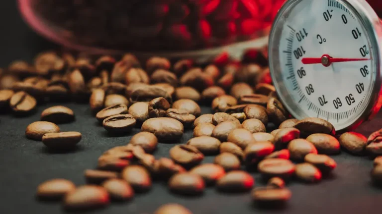 Taylor温度計の校正：手順ガイド